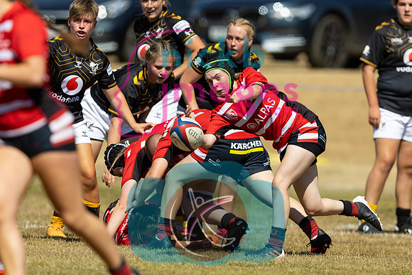 RFU_CoE_Festival_Wasps_v_GH_120822-070