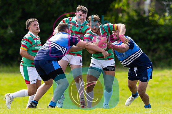 Coventry-Bears-v-Wolf-Hunt-290624-71