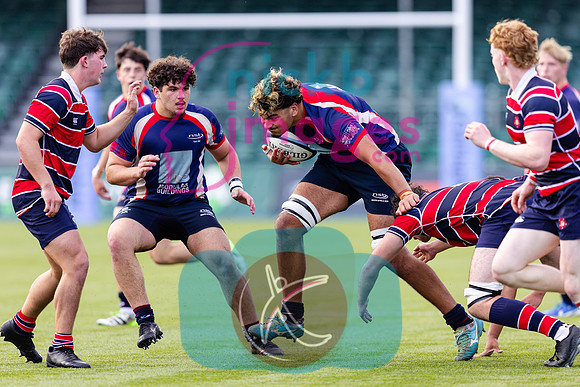 Berkhamsted-1XV-v-NSB-1XV-011025-101