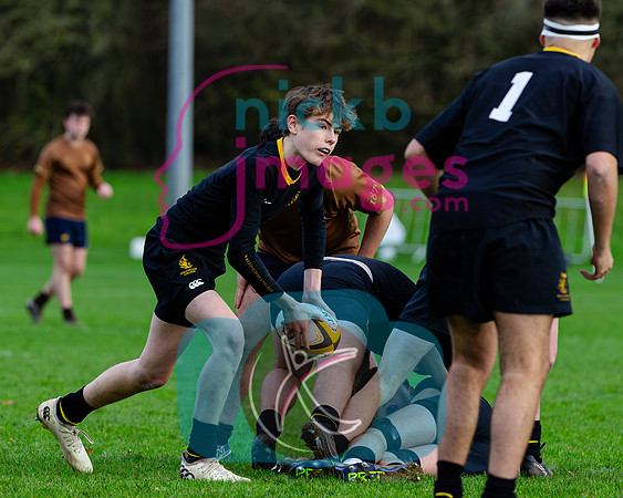 Sedbergh-3XV-v-Wellington-3XV-191125-2