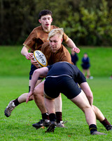 Sedbergh-3XV-v-Wellington-3XV-191125-5