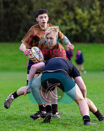 Sedbergh-3XV-v-Wellington-3XV-191125-5