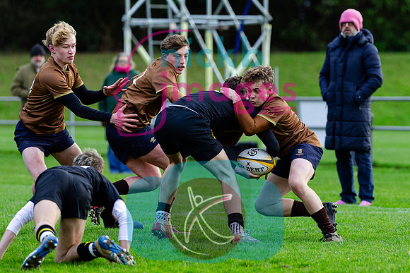 Sedbergh-3XV-v-Wellington-3XV-191125-3
