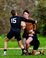 Sedbergh-3XV-v-Wellington-3XV-191125-6