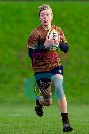 Sedbergh-3XV-v-Wellington-3XV-191125-15