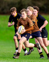 Sedbergh-3XV-v-Wellington-3XV-191125-17