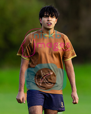 Sedbergh-3XV-v-Wellington-3XV-191125-76