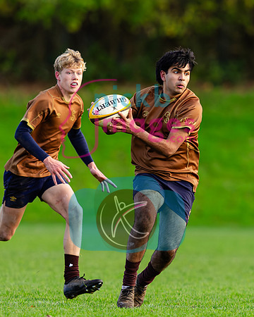 Sedbergh-3XV-v-Wellington-3XV-191125-78