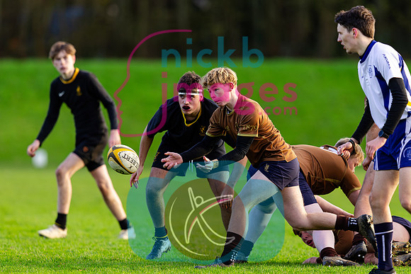 Sedbergh-3XV-v-Wellington-3XV-191125-81