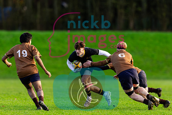 Sedbergh-3XV-v-Wellington-3XV-191125-83