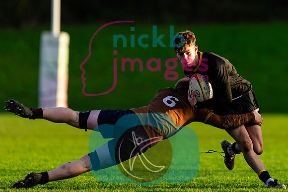 Sedbergh-3XV-v-Wellington-3XV-191125-92