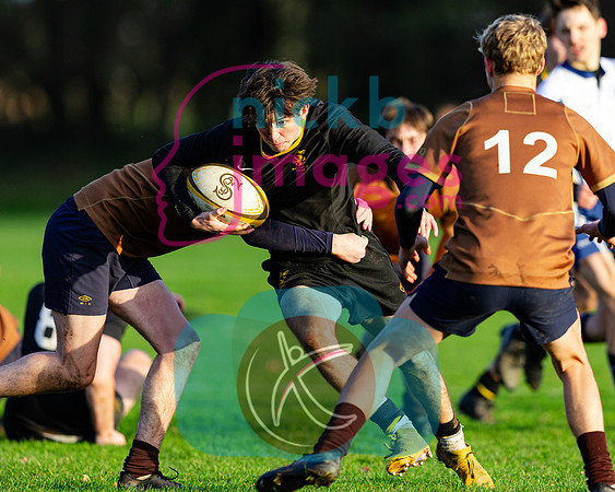 Sedbergh-3XV-v-Wellington-3XV-191125-89