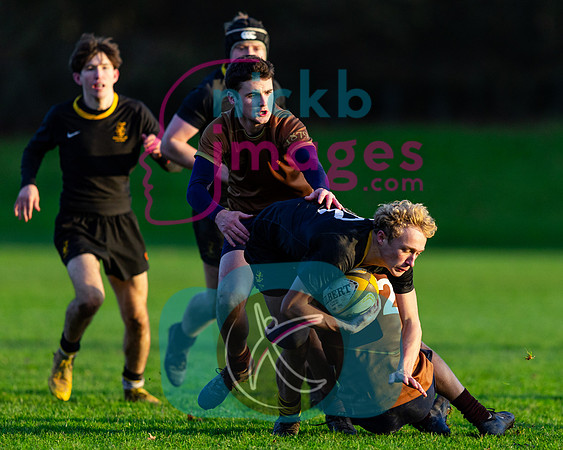 Sedbergh-3XV-v-Wellington-3XV-191125-106