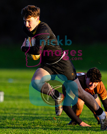 Sedbergh-3XV-v-Wellington-3XV-191125-111