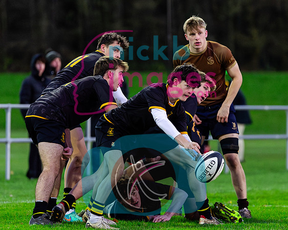 Sedbergh-2XV-v-Wellington-2XV-191125-4