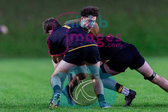 Sedbergh-2XV-v-Wellington-2XV-191125-2