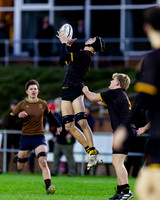 Sedbergh-2XV-v-Wellington-2XV-191125-1