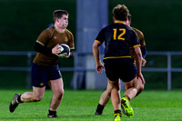 Sedbergh-2XV-v-Wellington-2XV-191125-8