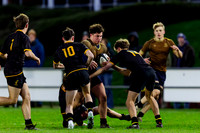 Sedbergh-2XV-v-Wellington-2XV-191125-9