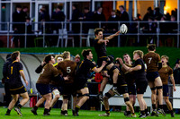 Sedbergh-2XV-v-Wellington-2XV-191125-6