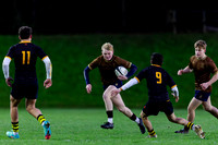 Sedbergh-2XV-v-Wellington-2XV-191125-11
