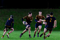 Sedbergh-2XV-v-Wellington-2XV-191125-12