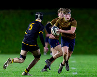 Sedbergh-2XV-v-Wellington-2XV-191125-15