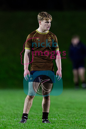Sedbergh-2XV-v-Wellington-2XV-191125-20
