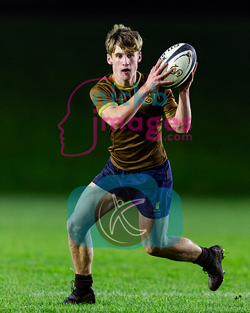 Sedbergh-2XV-v-Wellington-2XV-191125-21