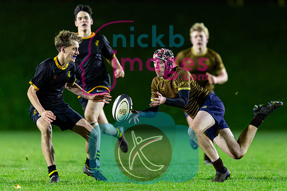 Sedbergh-2XV-v-Wellington-2XV-191125-65