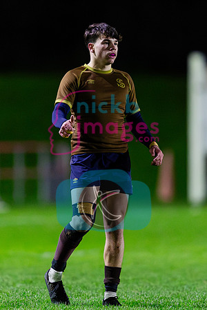 Sedbergh-2XV-v-Wellington-2XV-191125-66