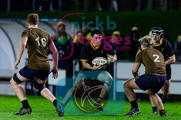 Sedbergh-2XV-v-Wellington-2XV-191125-69