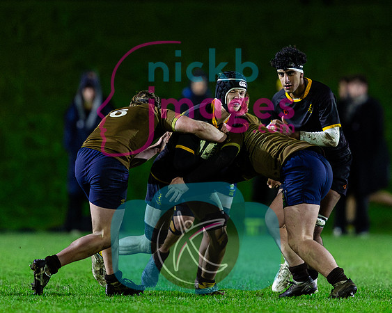 Sedbergh-2XV-v-Wellington-2XV-191125-72