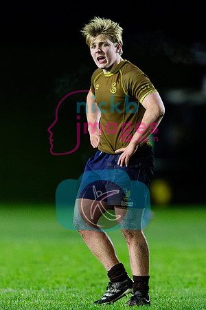 Sedbergh-2XV-v-Wellington-2XV-191125-74