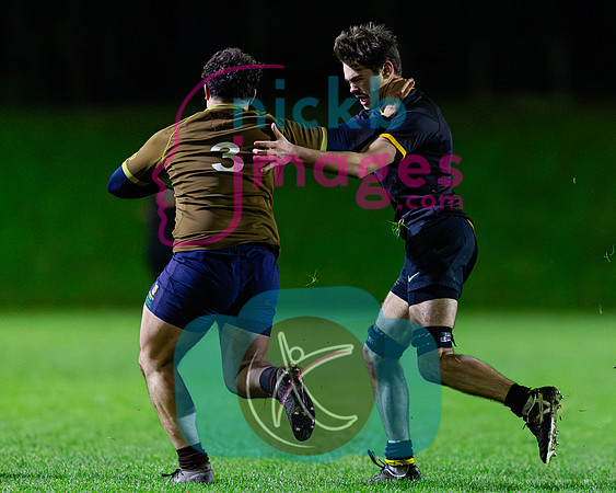 Sedbergh-2XV-v-Wellington-2XV-191125-79