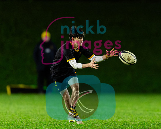 Sedbergh-2XV-v-Wellington-2XV-191125-106