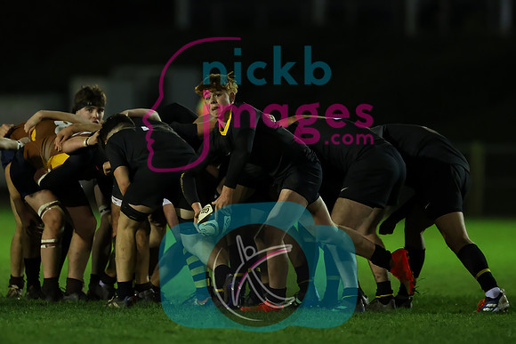 Sedbergh_2nd_XV_v_Wellington_231122_081