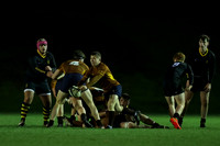 Sedbergh_2nd_XV_v_Wellington_231122_041