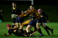 Sedbergh_2nd_XV_v_Wellington_231122_038
