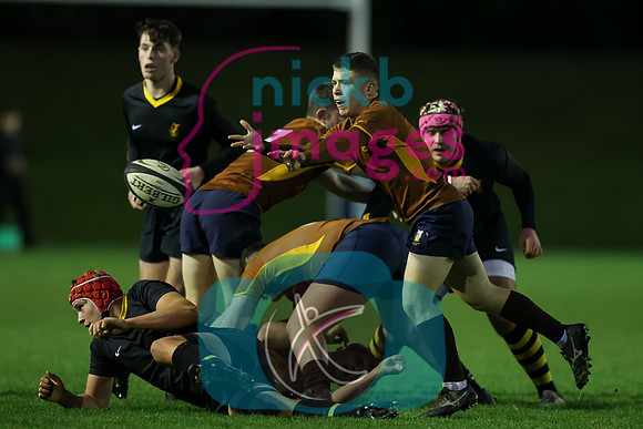 Sedbergh_2nd_XV_v_Wellington_231122_038