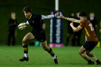 Sedbergh_2nd_XV_v_Wellington_231122_044