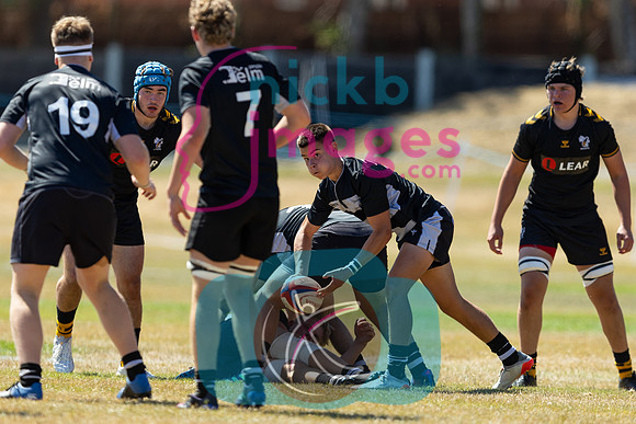 Wasps_Academy_U17's_Malvern_110822-040