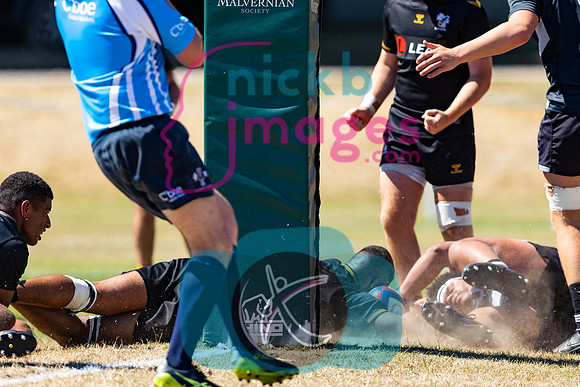 Wasps_Academy_U17's_Malvern_110822-047