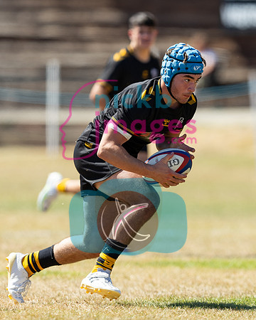 Wasps_Academy_U17's_Malvern_110822-044