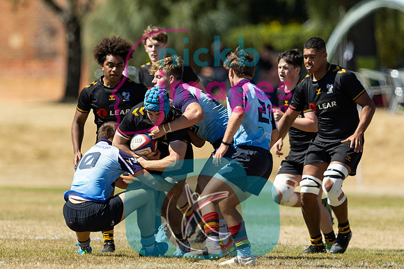Wasps_Academy_U17's_Malvern_110822-058