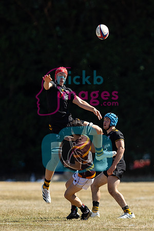 Wasps_Academy_U17's_Malvern_110822-099