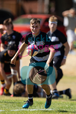 Wasps_Academy_U17's_Malvern_110822-018