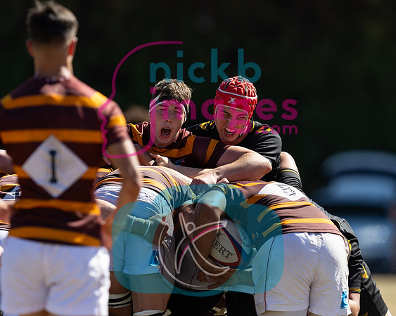 Wasps_Academy_U17's_Malvern_110822-104