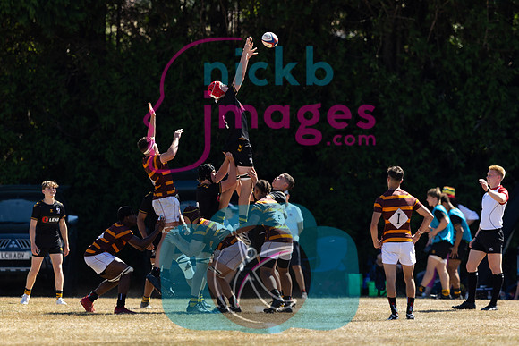 Wasps_Academy_U17's_Malvern_110822-100
