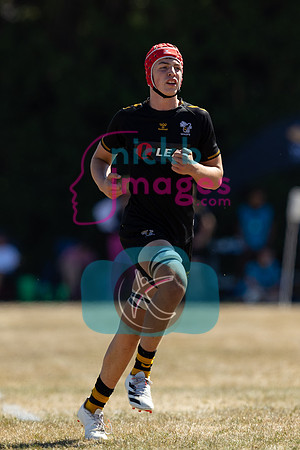 Wasps_Academy_U17's_Malvern_110822-102